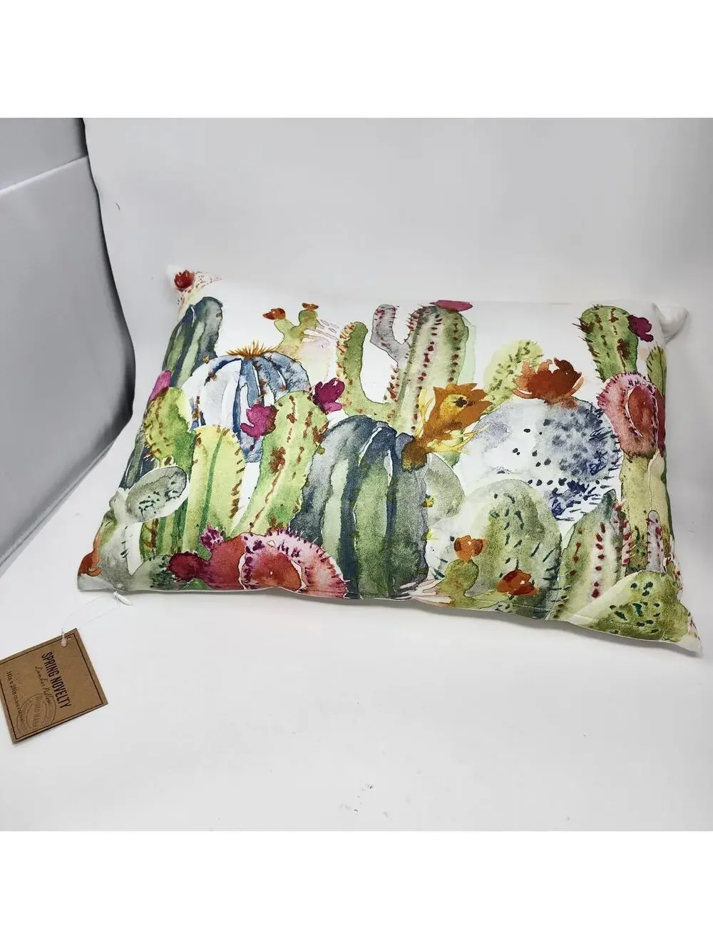 Spring Novelty Cactus Watercolor Lumbar Pillow 14x20 NWT